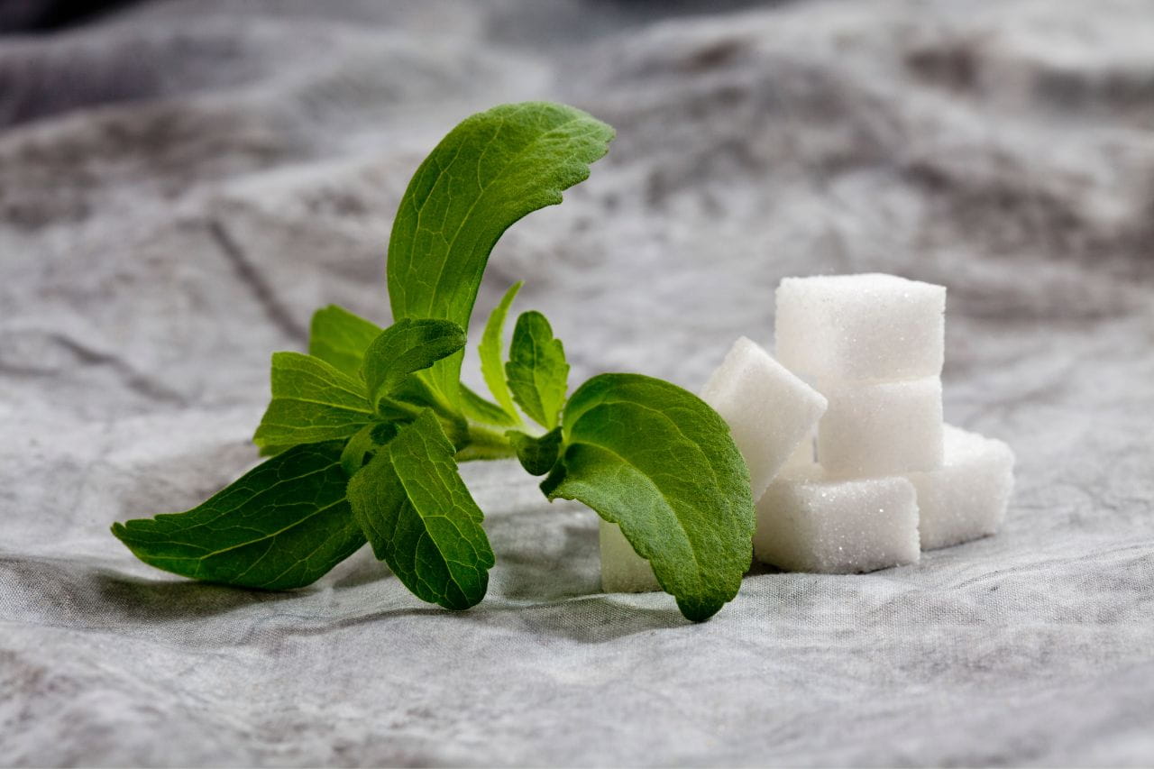 Is Stevia Safe