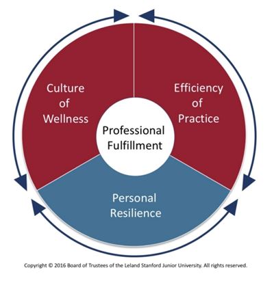 Circular diagram showing the different aspects of professional fulfillment