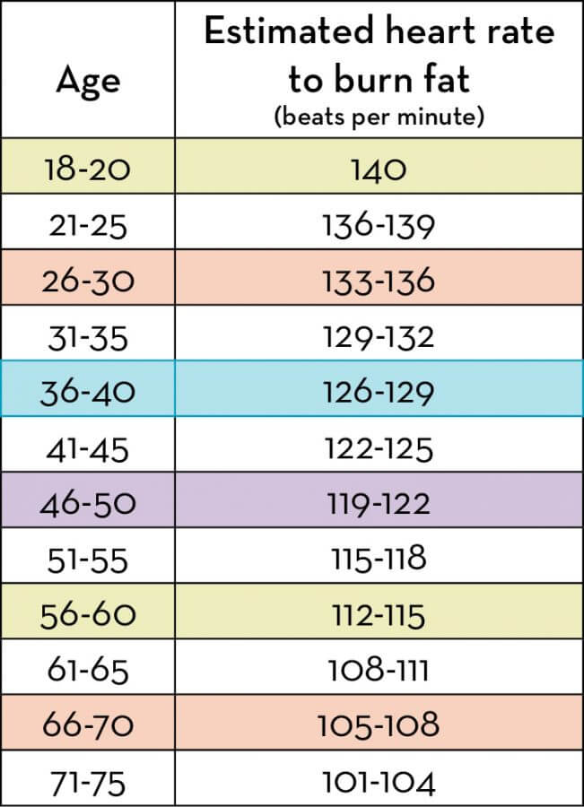 What You Need to Know About the Fat Burning Heart Rate Baptist