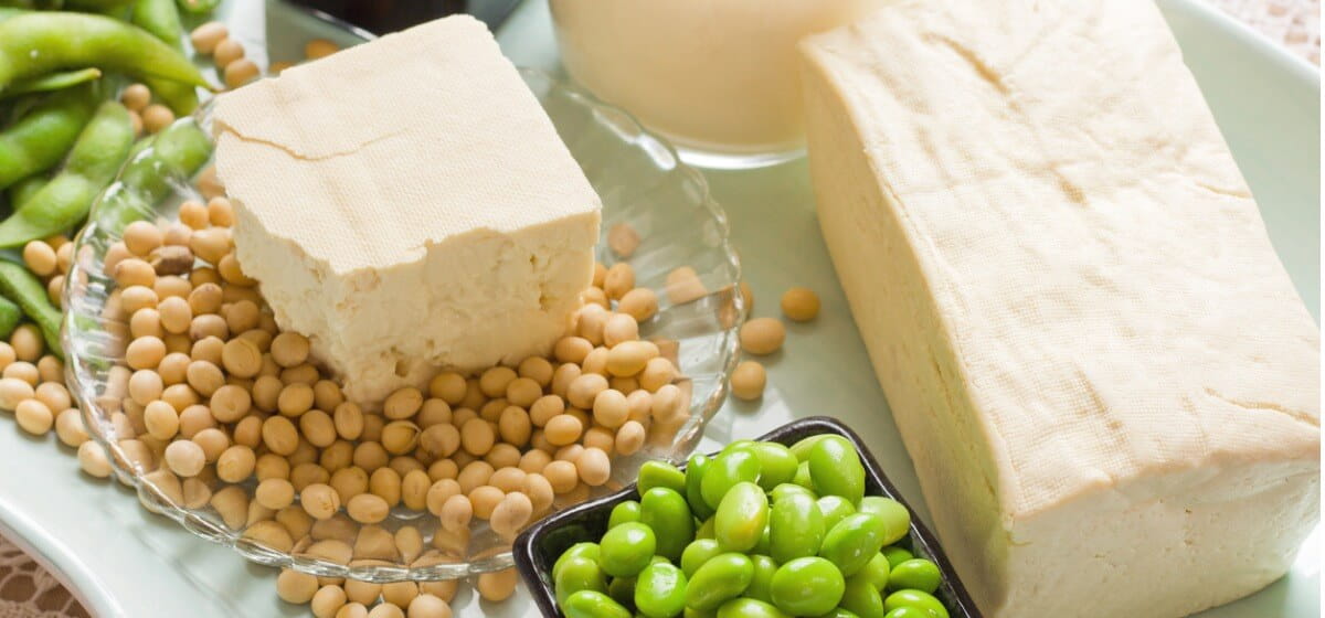 soy affects fertility