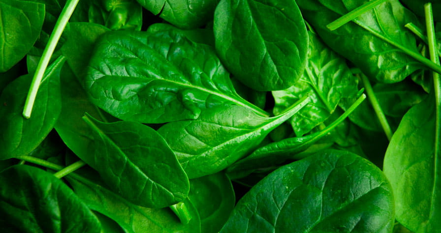 Health Benefits of Spinach